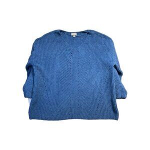 Style & Co Women Sweater XL Blue Long Sleeve V-neck Relaxed Soft Lightweight